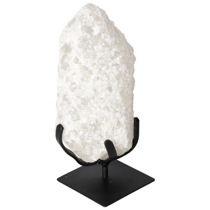 orbitvu|type:image2d