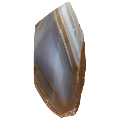 orbitvu|type:image2d