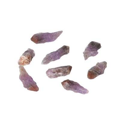 orbitvu|type:ORBITVU 360|https://orbitvu.co/share/uPEmLg7b3nwVAhSs83XwAZ/6523432/360/iframe
