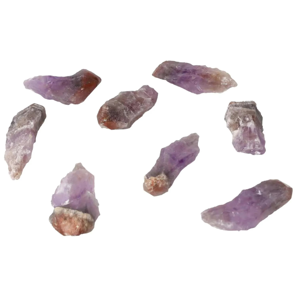 orbitvu|type:image2d