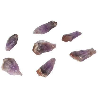 orbitvu|type:image2d