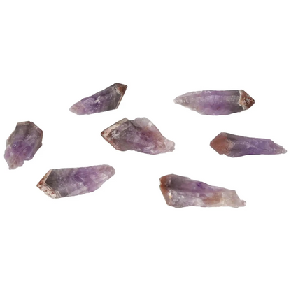 orbitvu|type:image2d