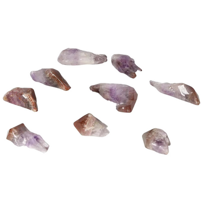 orbitvu|type:image2d