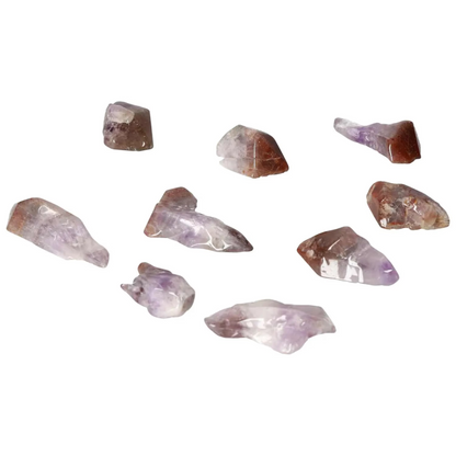 orbitvu|type:image2d