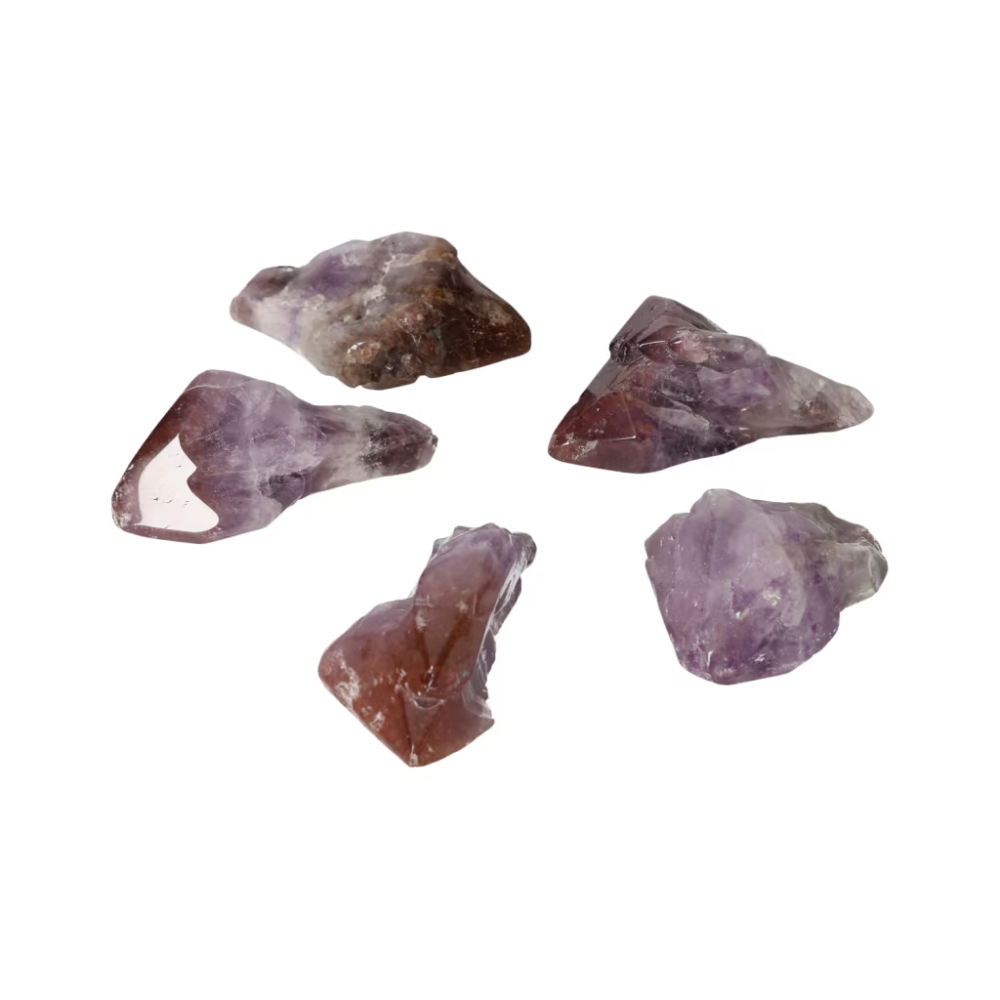 orbitvu|type:ORBITVU 360|https://orbitvu.co/share/iMwDsNwoFaX7gJiDcpXms4/6523482/360/iframe