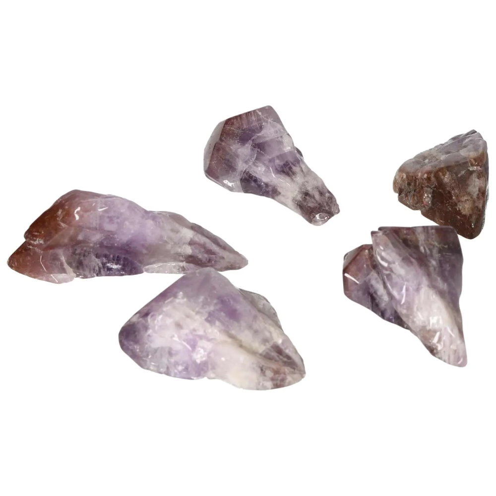 orbitvu|type:image2d