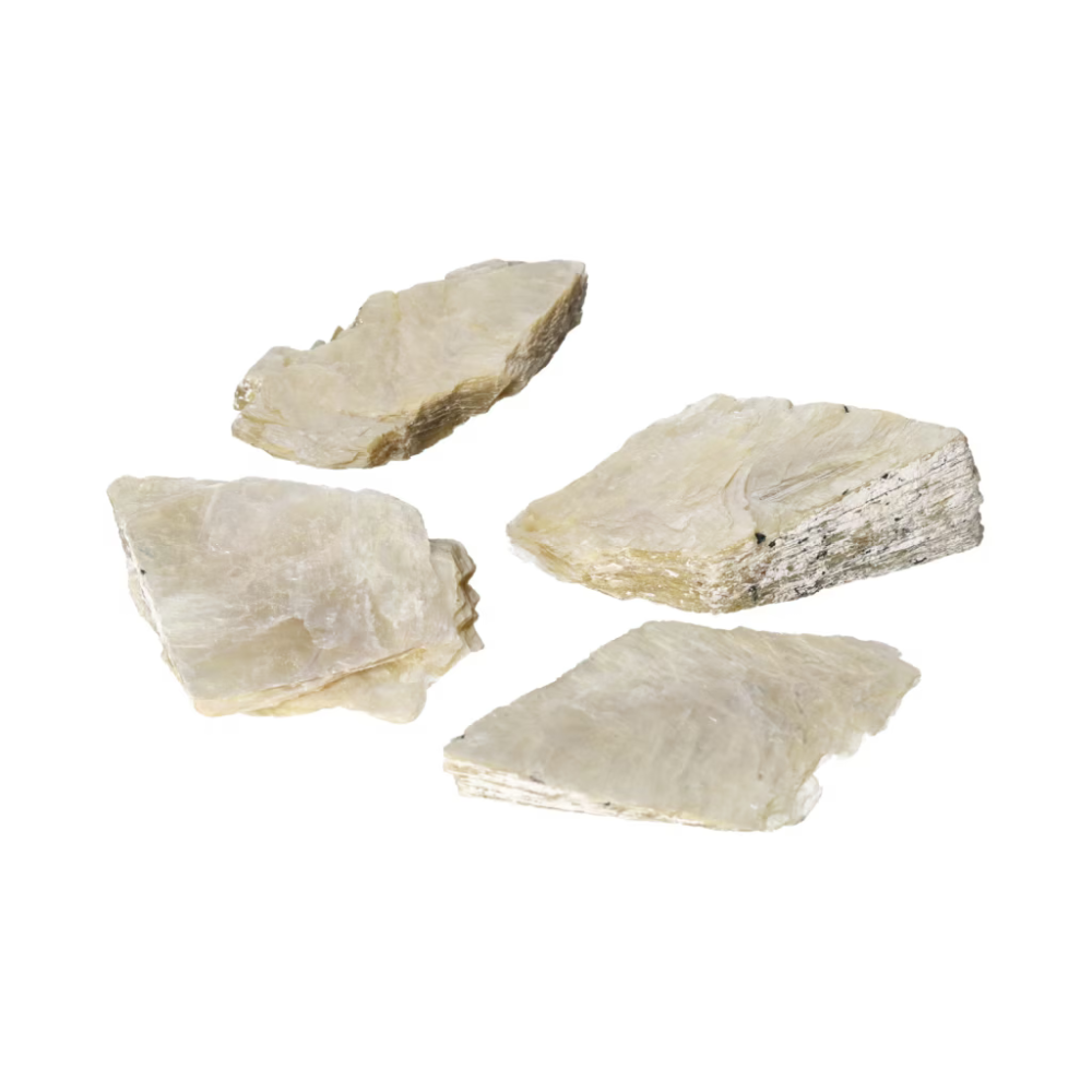 orbitvu|type:ORBITVU 360|https://orbitvu.co/share/XK4WQtWVRyj7EreQXbiycd/6523563/360/iframe