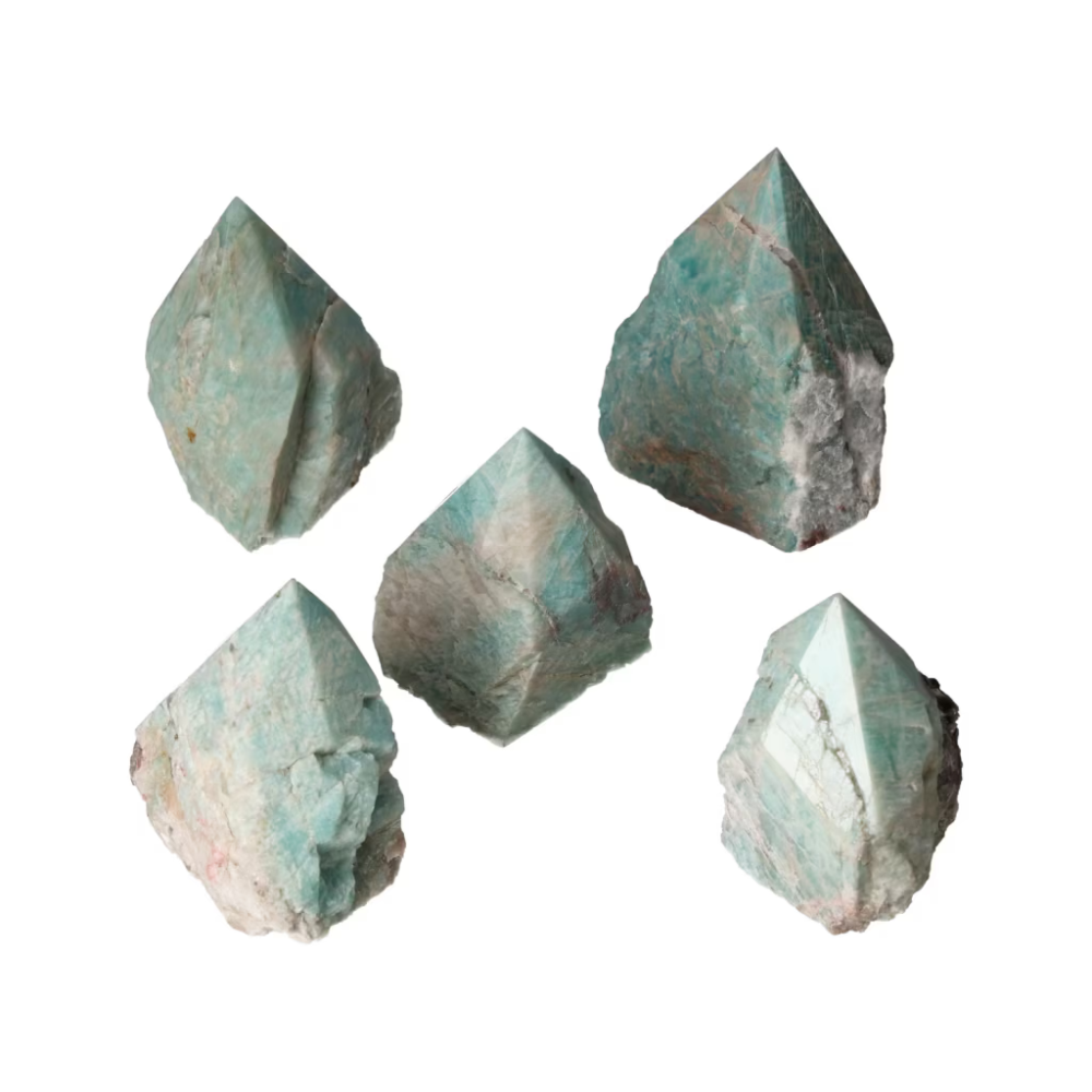 orbitvu|type:ORBITVU 360|https://orbitvu.co/share/NYBEYza3B9gagrZ8t98qZS/6526086/360/iframe