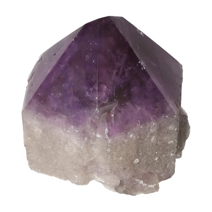 orbitvu|type:ORBITVU 360|https://orbitvu.co/share/L5onRqEsi67BfbueC8jt9K/6526118/360/iframe