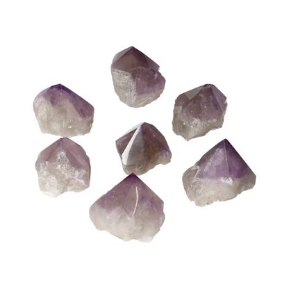 orbitvu|type:ORBITVU 360|https://orbitvu.co/share/qmVw4GeK9iAmwFdGaKGfx3/6526168/360/iframe