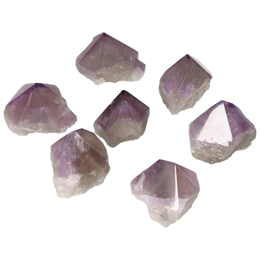 orbitvu|type:image2d