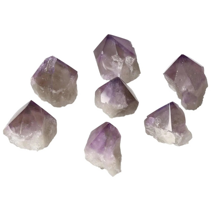 orbitvu|type:image2d