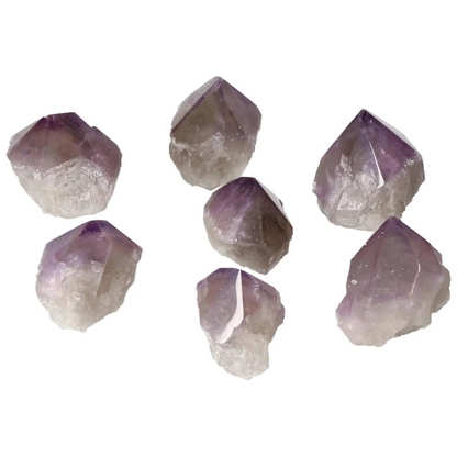 orbitvu|type:image2d