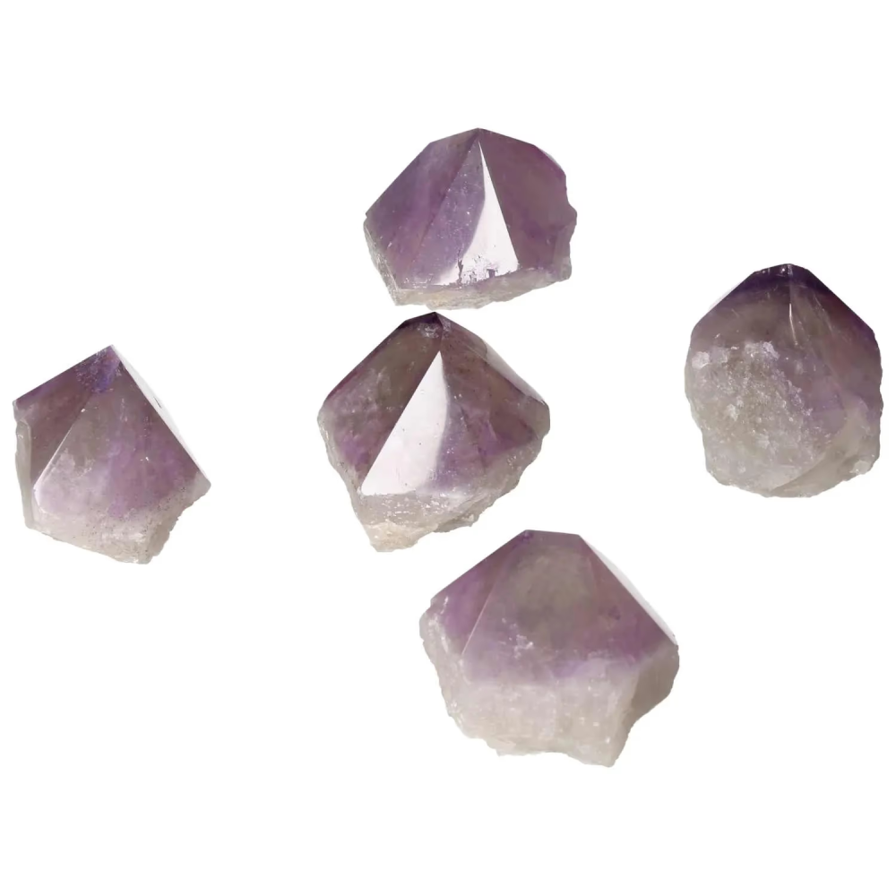orbitvu|type:image2d
