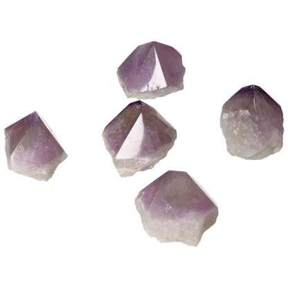 orbitvu|type:image2d