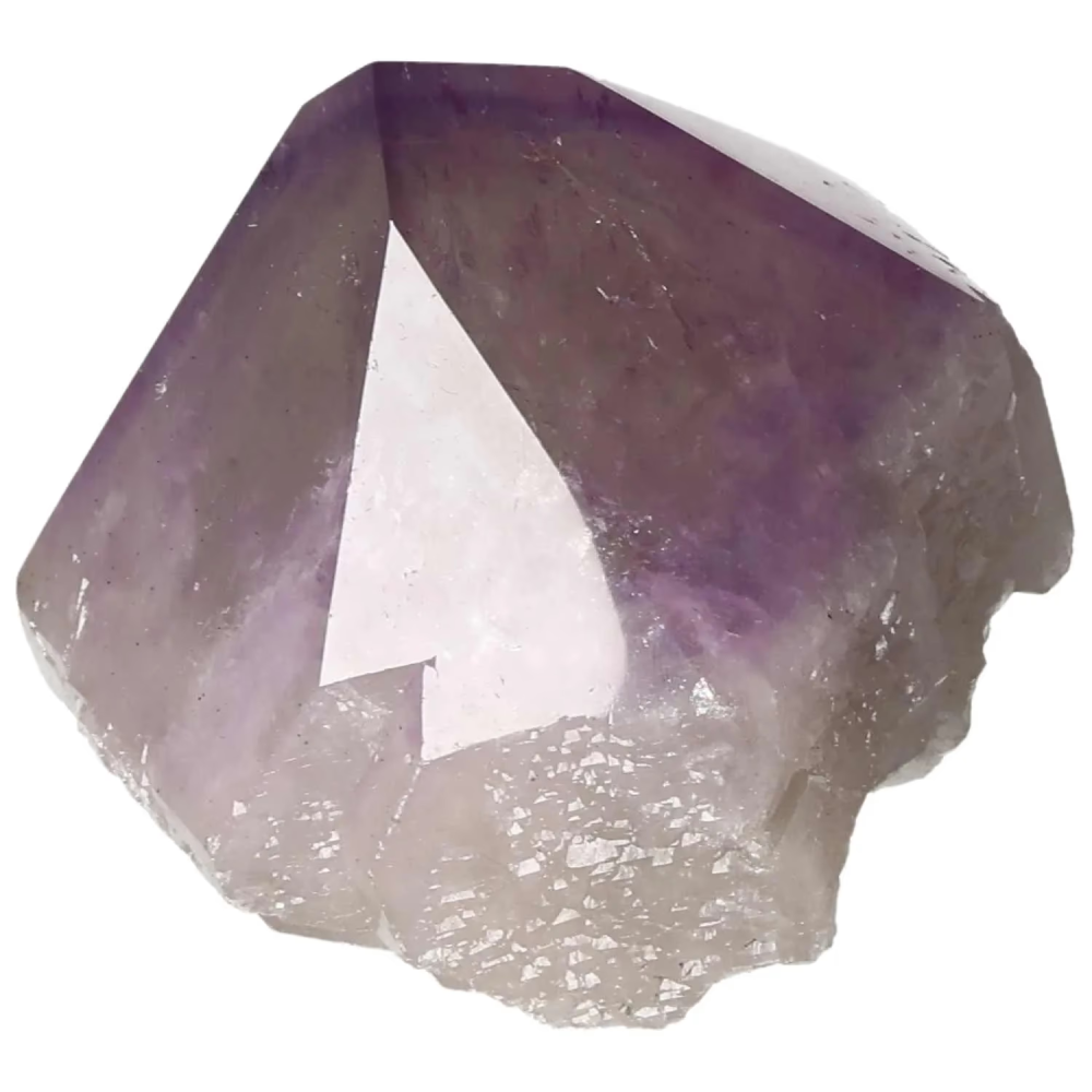 orbitvu|type:image2d