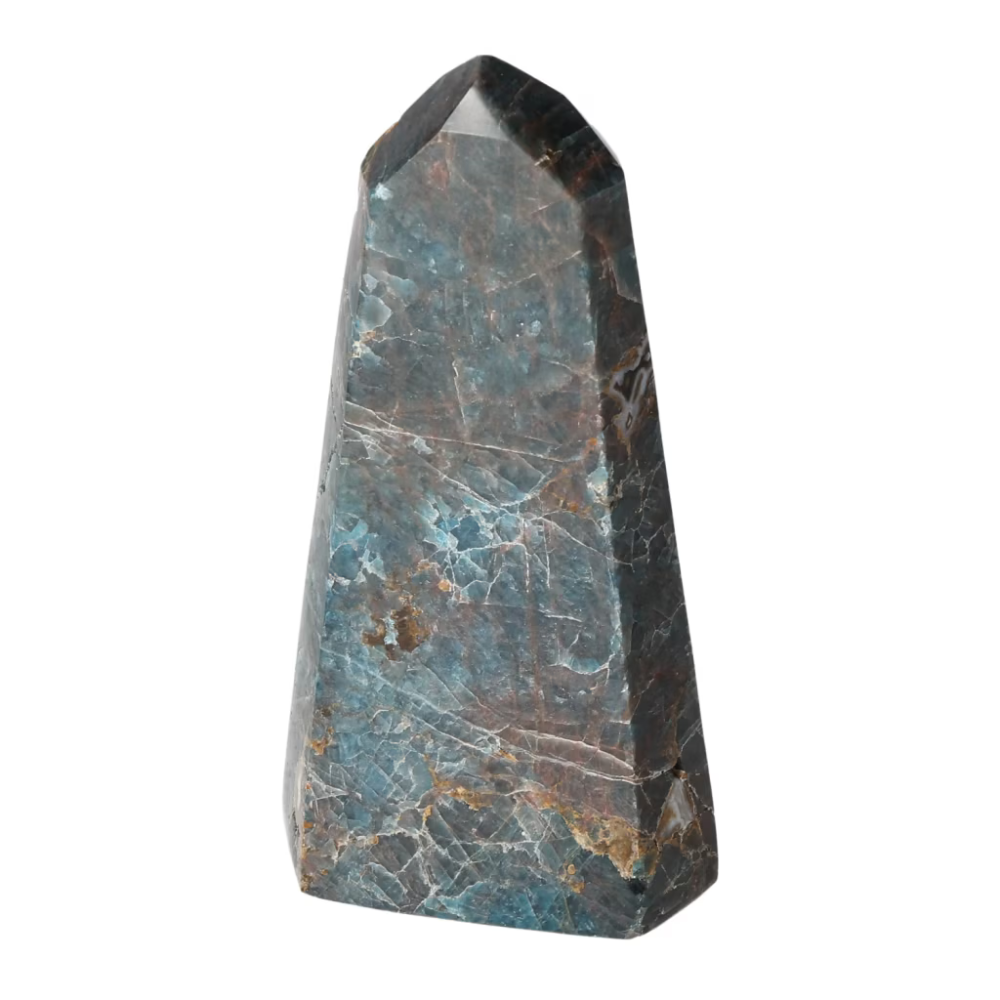orbitvu|type:ORBITVU 360|https://orbitvu.co/share/f3bpb2Re5sSVwnBUXLHWrM/6530047/360/iframe