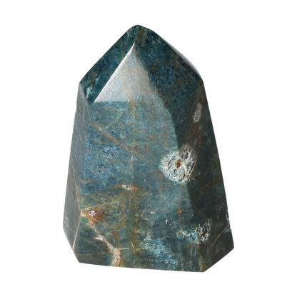 orbitvu|type:ORBITVU 360|https://orbitvu.co/share/kVm9PRMUisq2FvJUDRc6bN/6531032/360/iframe