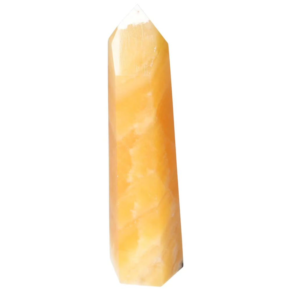 orbitvu|type:image2d