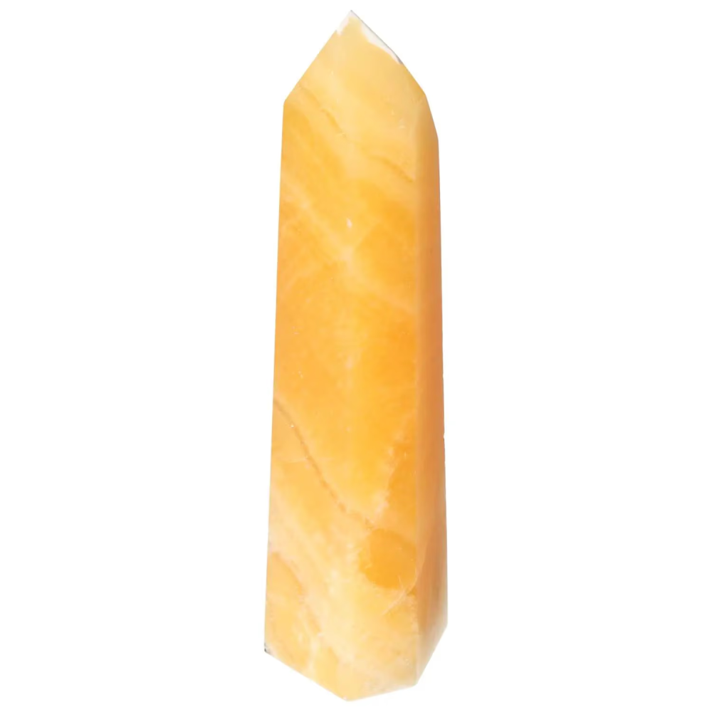 orbitvu|type:image2d