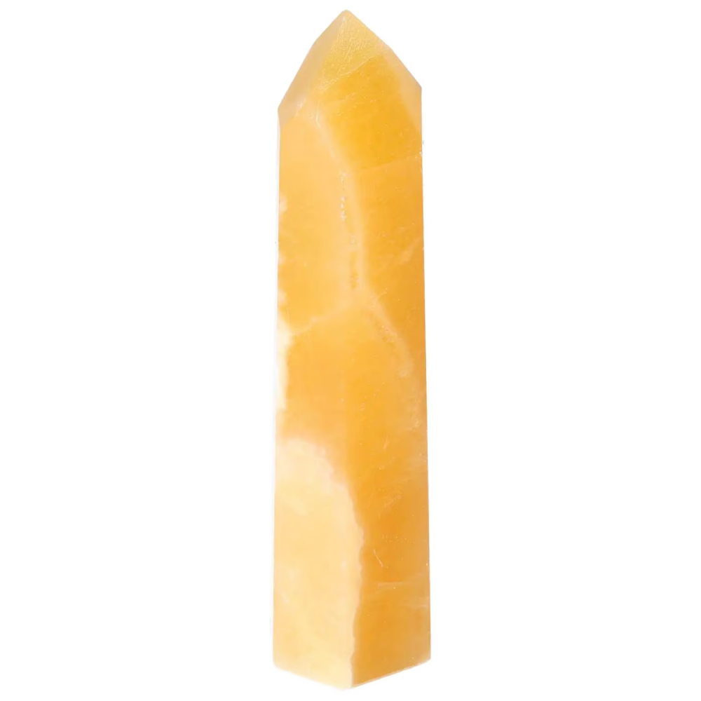 orbitvu|type:image2d