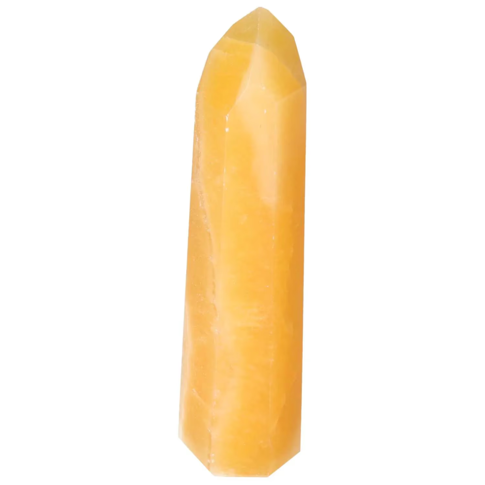 orbitvu|type:image2d