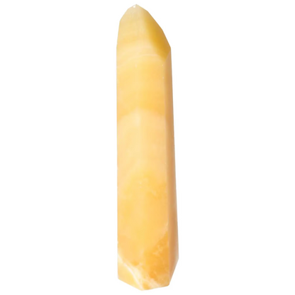 orbitvu|type:image2d