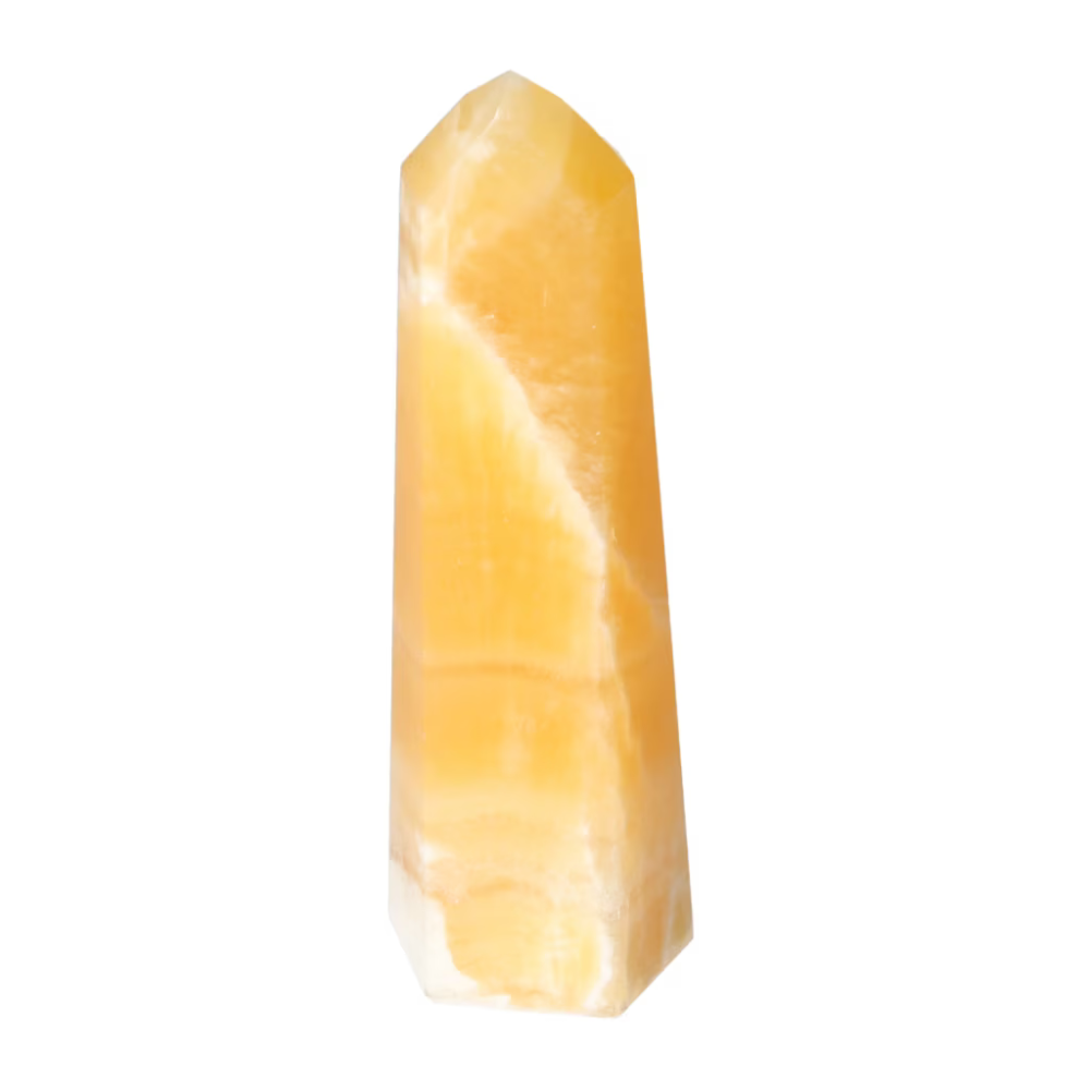 orbitvu|type:ORBITVU 360|https://orbitvu.co/share/HE6fWkkeVwUhppefPvbSXP/6531752/360/iframe