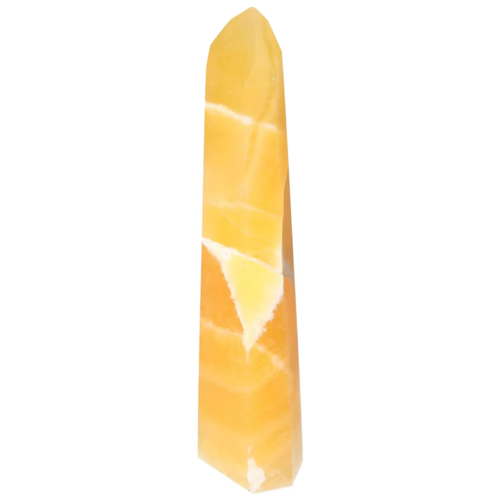 orbitvu|type:image2d