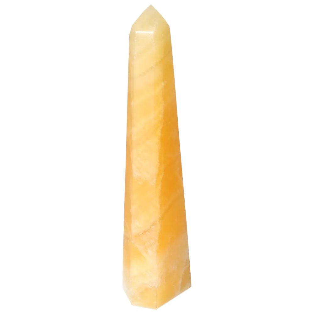 orbitvu|type:image2d