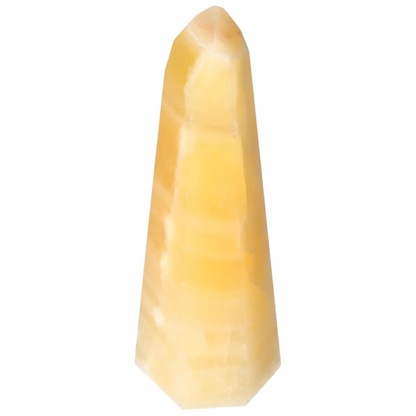 orbitvu|type:image2d