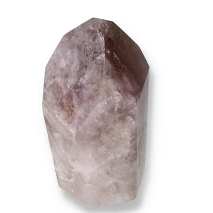 orbitvu|type:ORBITVU 360|https://orbitvu.co/share/iADEgwvWSKnjp2DJCWhgJP/6532732/360/iframe