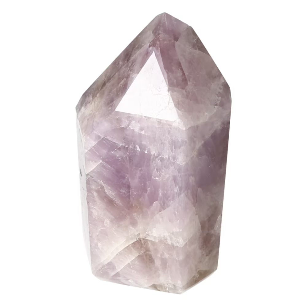orbitvu|type:ORBITVU 360|https://orbitvu.co/share/pvrtch2tQx7e4wm4PamuwN/6532589/360/iframe
