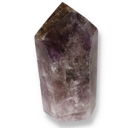 orbitvu|type:ORBITVU 360|https://orbitvu.co/share/8EwJjdhsftUuhYqDhbKpp4/6532570/360/iframe