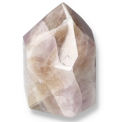 orbitvu|type:ORBITVU 360|https://orbitvu.co/share/dxDgz7Bn7ht23BTYiftvPZ/6532809/360/iframe