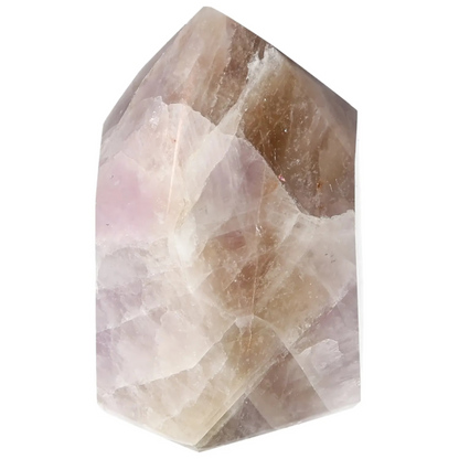 orbitvu|type:image2d