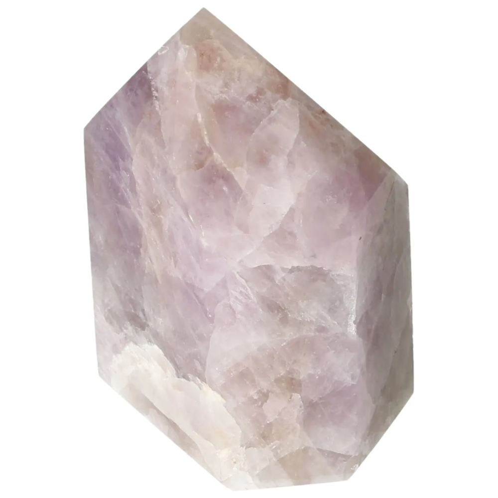 orbitvu|type:image2d
