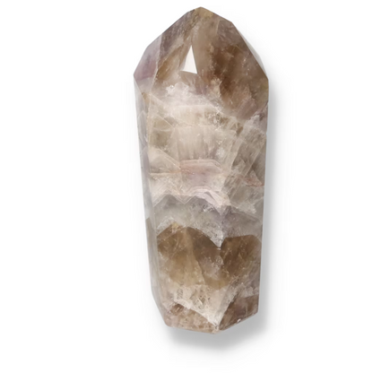 orbitvu|type:ORBITVU 360|https://orbitvu.co/share/45fFHaG2RzATkm6XAw43T/6532683/360/iframe