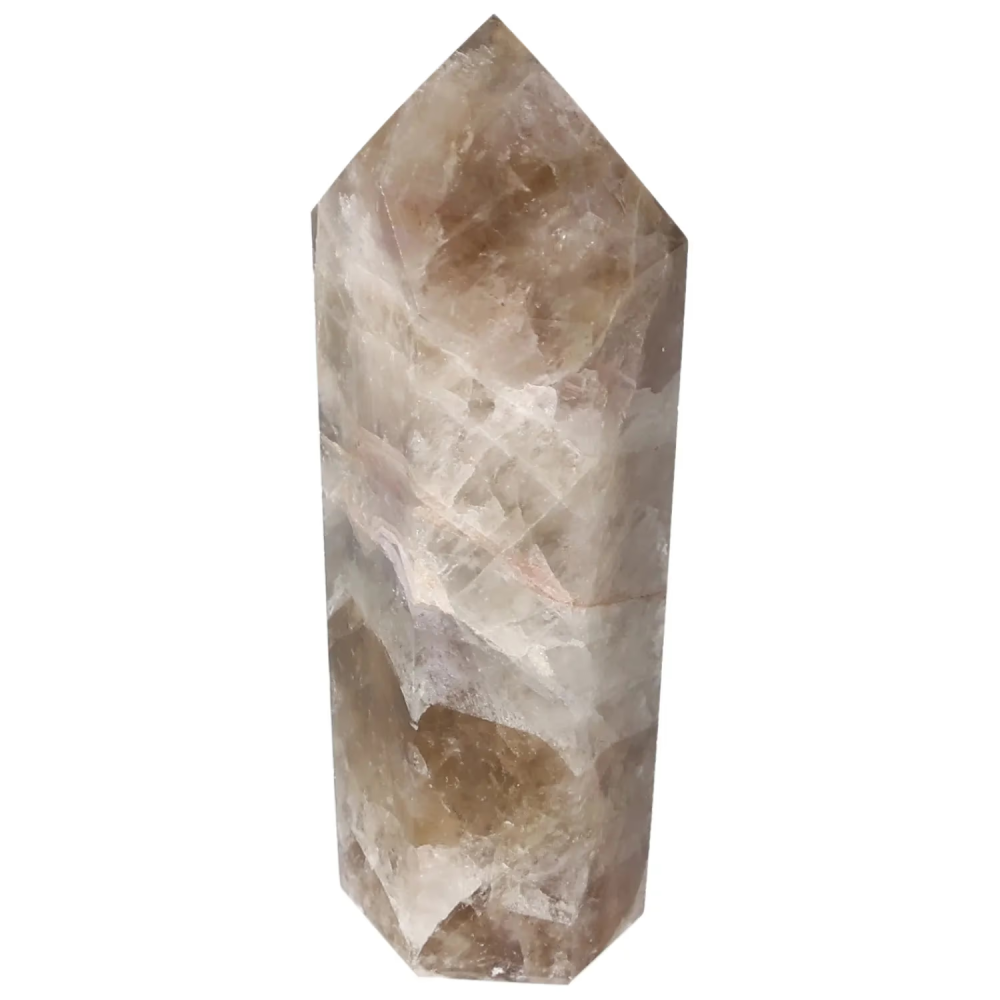 orbitvu|type:image2d