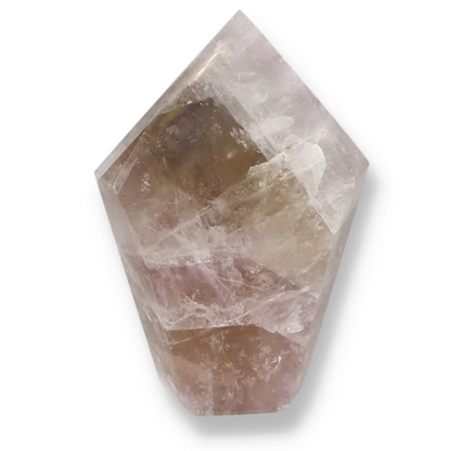 orbitvu|type:ORBITVU 360|https://orbitvu.co/share/rGcpHWMsHgR9x85R2NZoq5/6534423/360/iframe