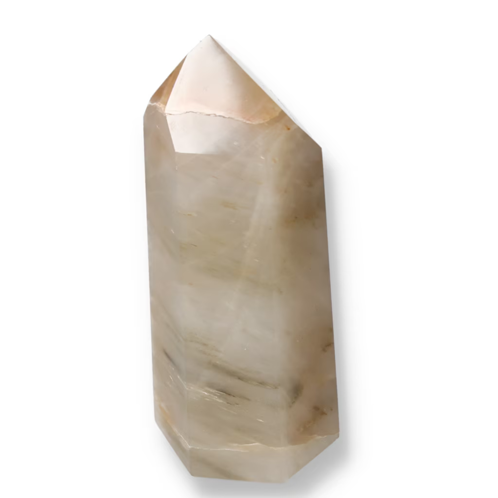 orbitvu|type:ORBITVU 360|https://orbitvu.co/share/Mjp8d3KnUxZqkfmF8oWGUU/6533511/360/iframe