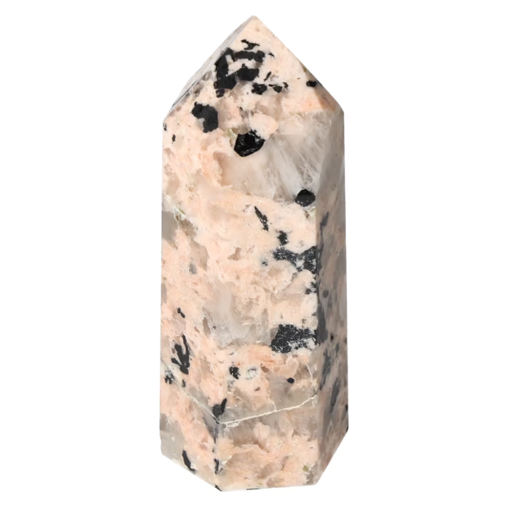 orbitvu|type:ORBITVU 360|https://orbitvu.co/share/mCbsG8W7Rpkn3k6UGe3QBo/6533816/360/iframe