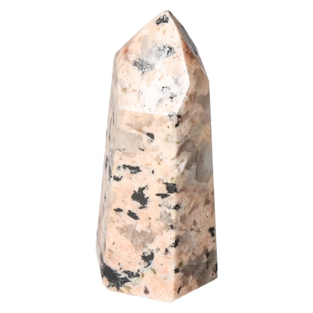 orbitvu|type:ORBITVU 360|https://orbitvu.co/share/MDiKwB8TJc5wc4o62K6ZyJ/6533675/360/iframe