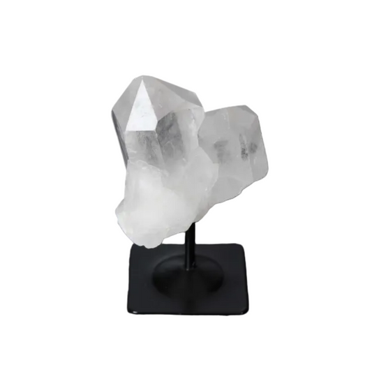 orbitvu|type:image2d