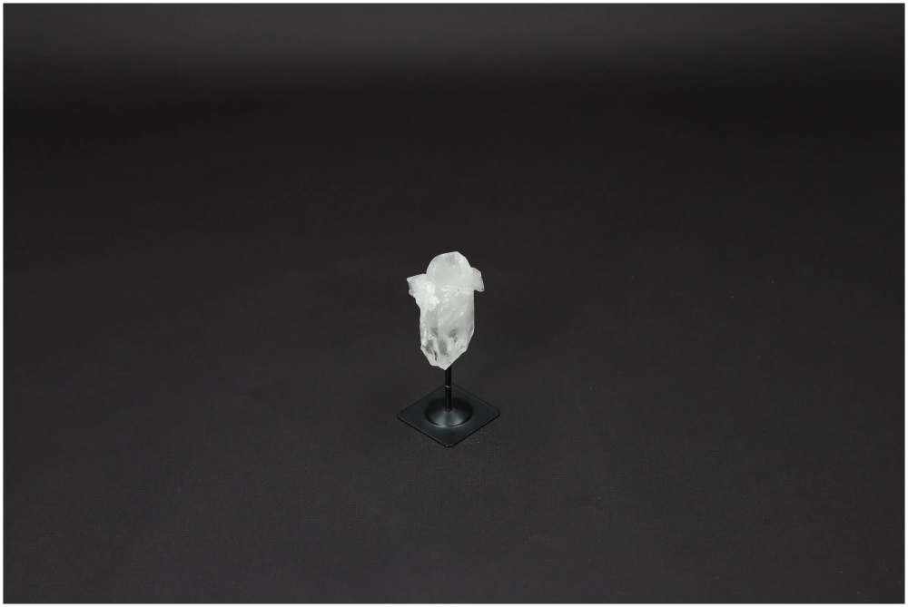 orbitvu|type:image2d