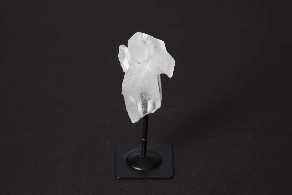 orbitvu|type:image2d