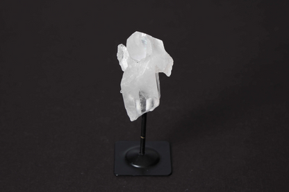 orbitvu|type:image2d