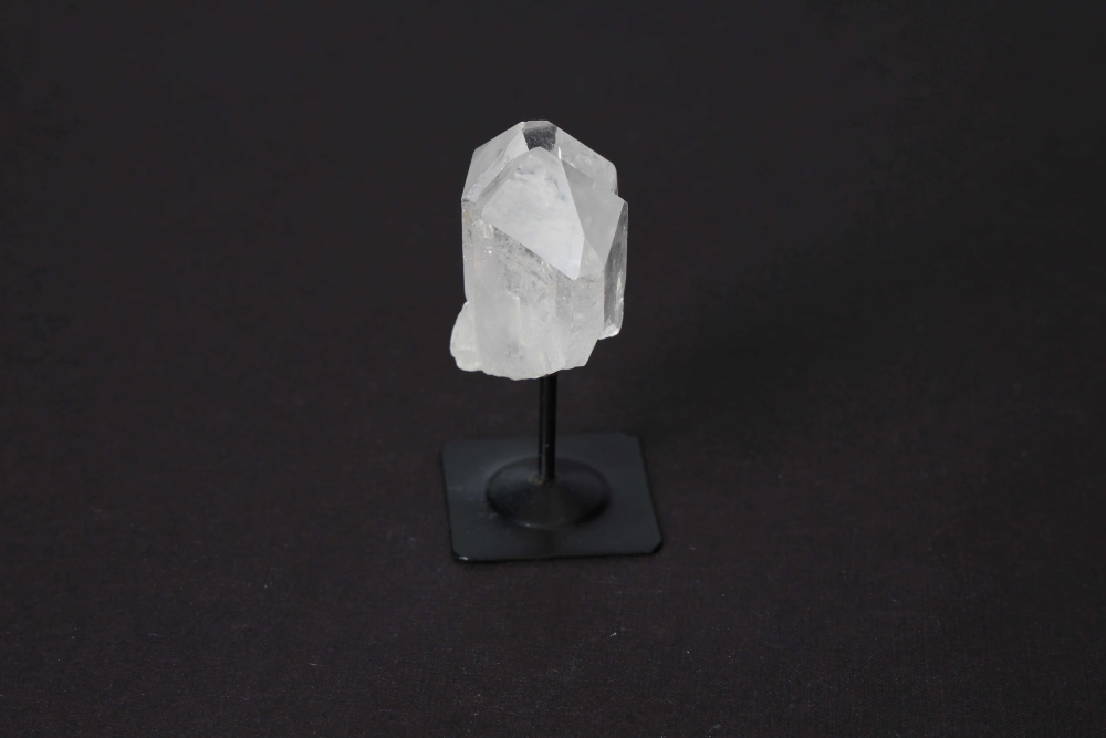 orbitvu|type:image2d