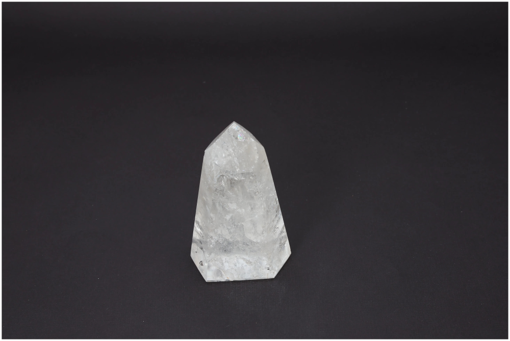 orbitvu|type:image2d