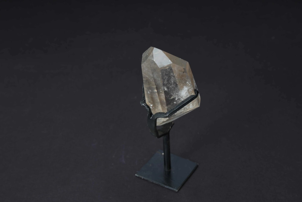 orbitvu|type:image2d